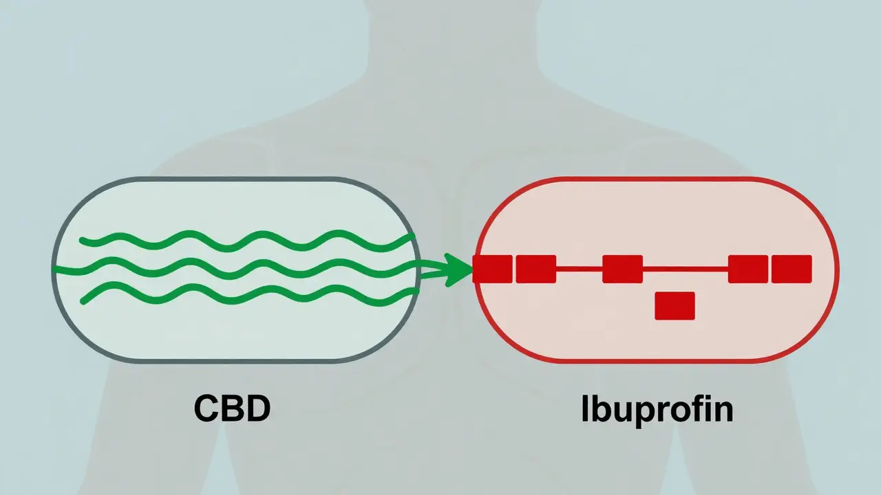 Koncepční ilustrace dvou cest metabolizace CBD a ibuprofen v těle.