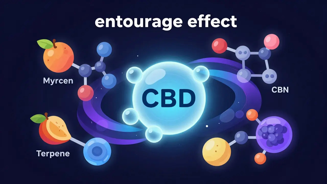 Ilustrace entourage efektu s molekulami CBD a terpenů